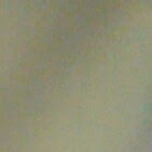 Meet your Posher, Luis